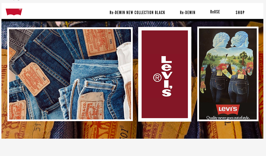 Lewis Campaign Image 5